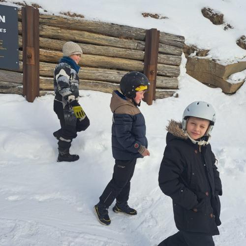 Ski