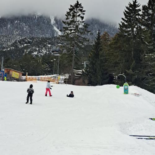 Ski