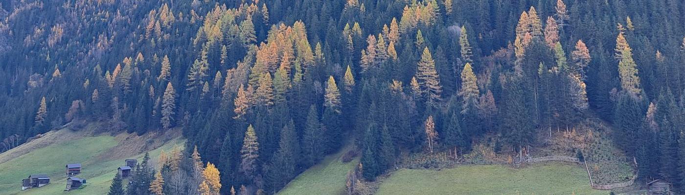 Herbst 1