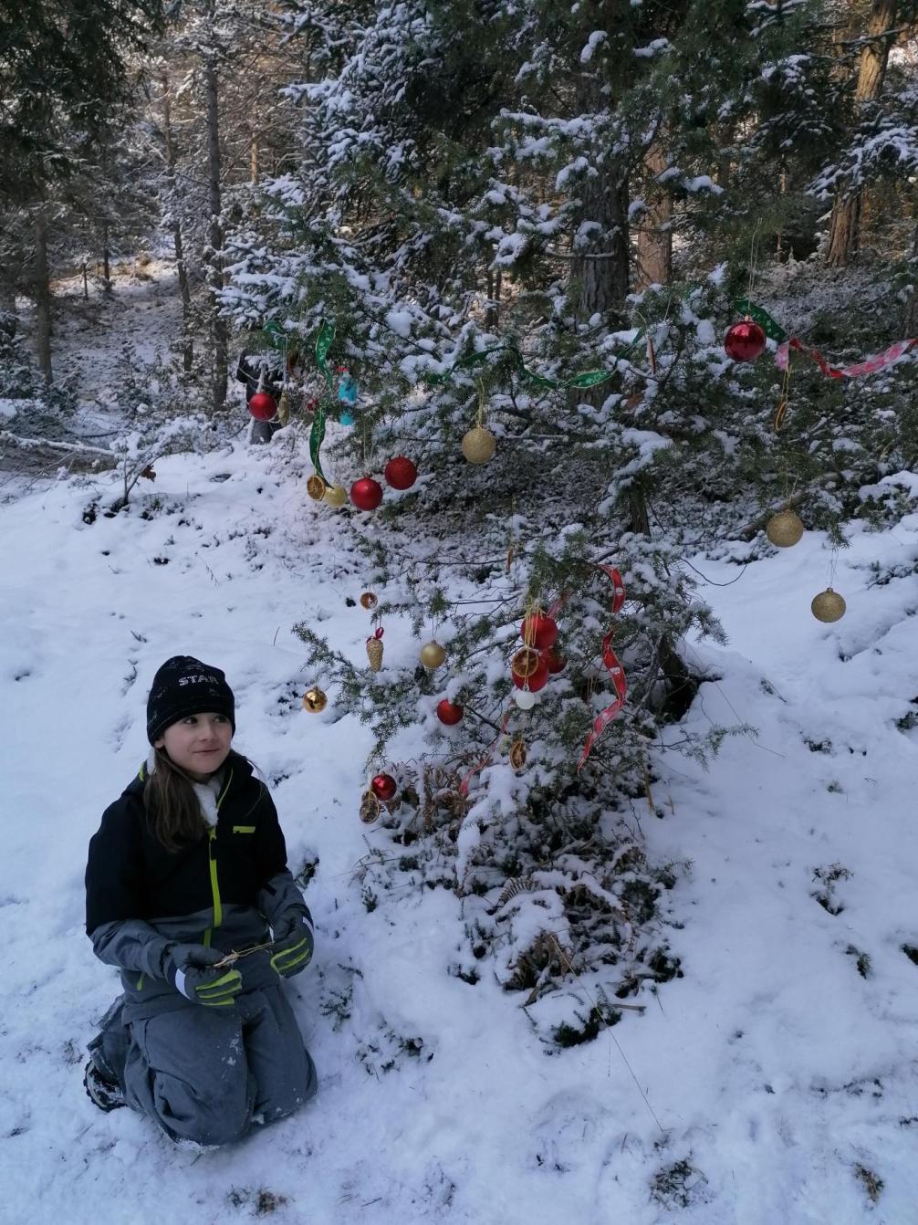 Waldweihnacht 4