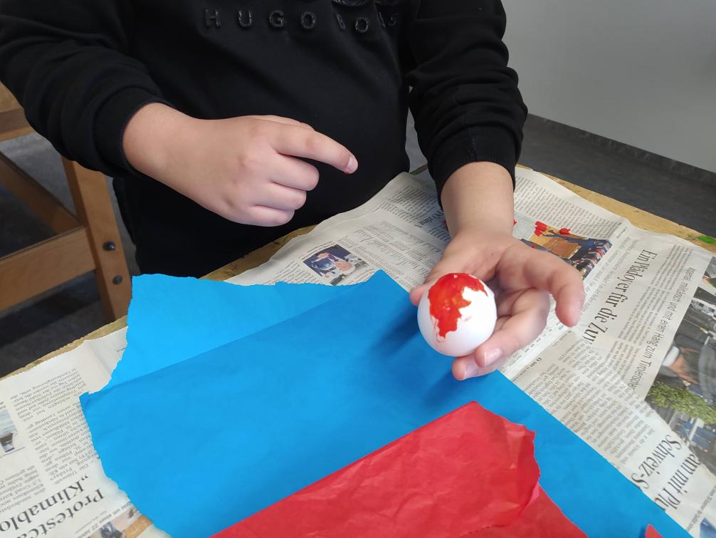 eier