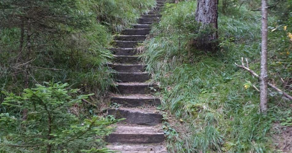 Treppe 