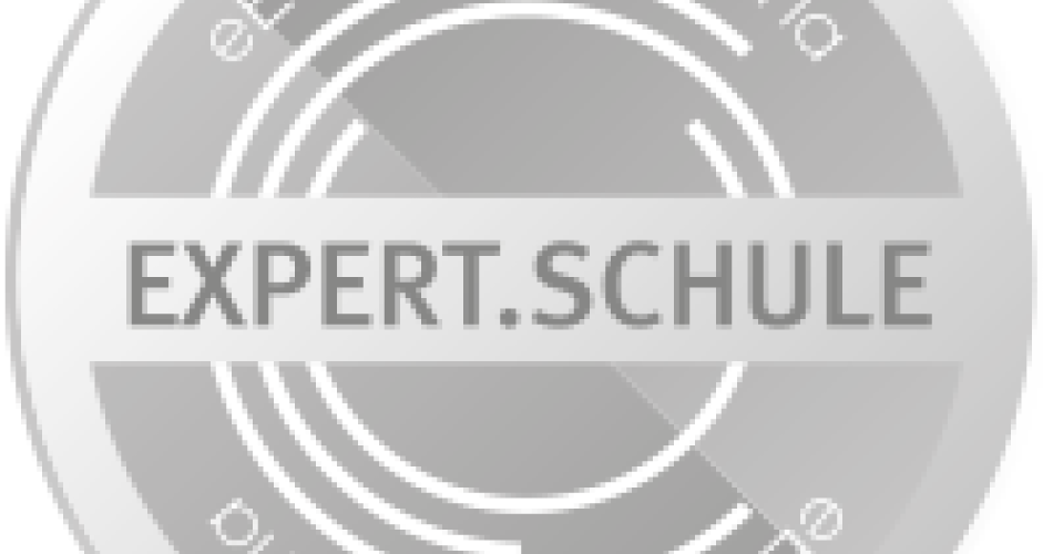 Expert button