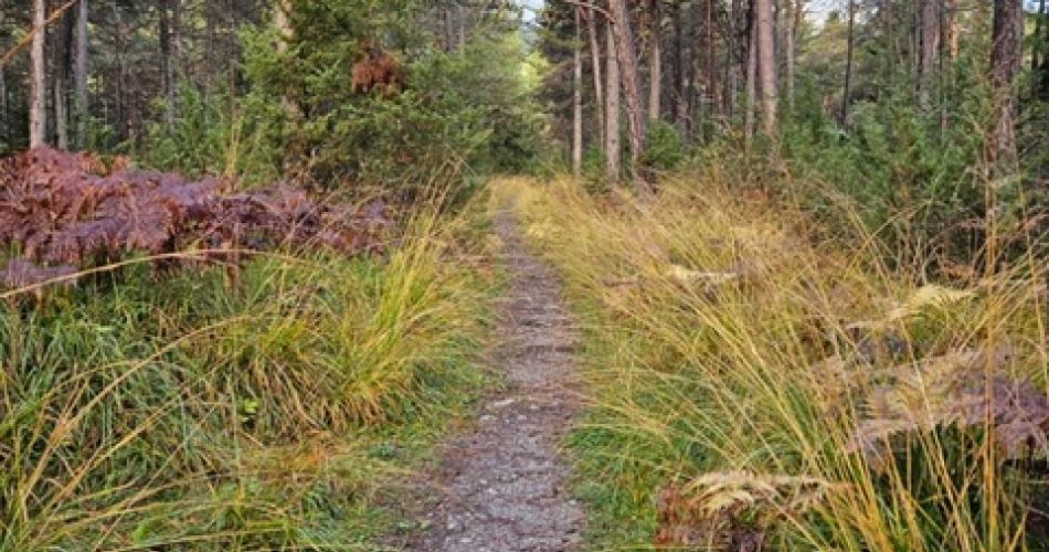 Wandertag 2