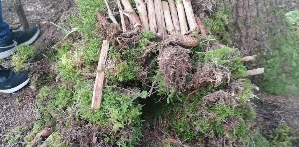 Mooshütte 2 Mooshütte 2