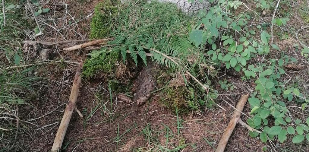 Mooshütte 3 Mooshütte 3