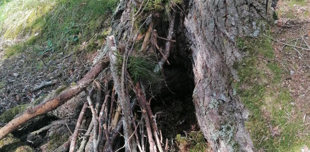 Mooshütte 5 Mooshütte5