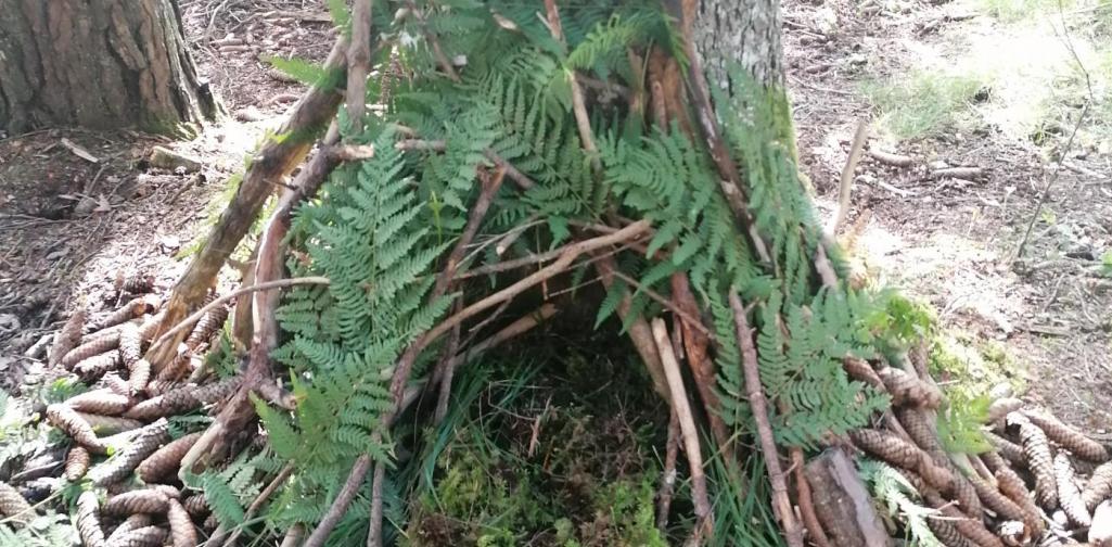 Mooshütte 4 Mooshütte 4